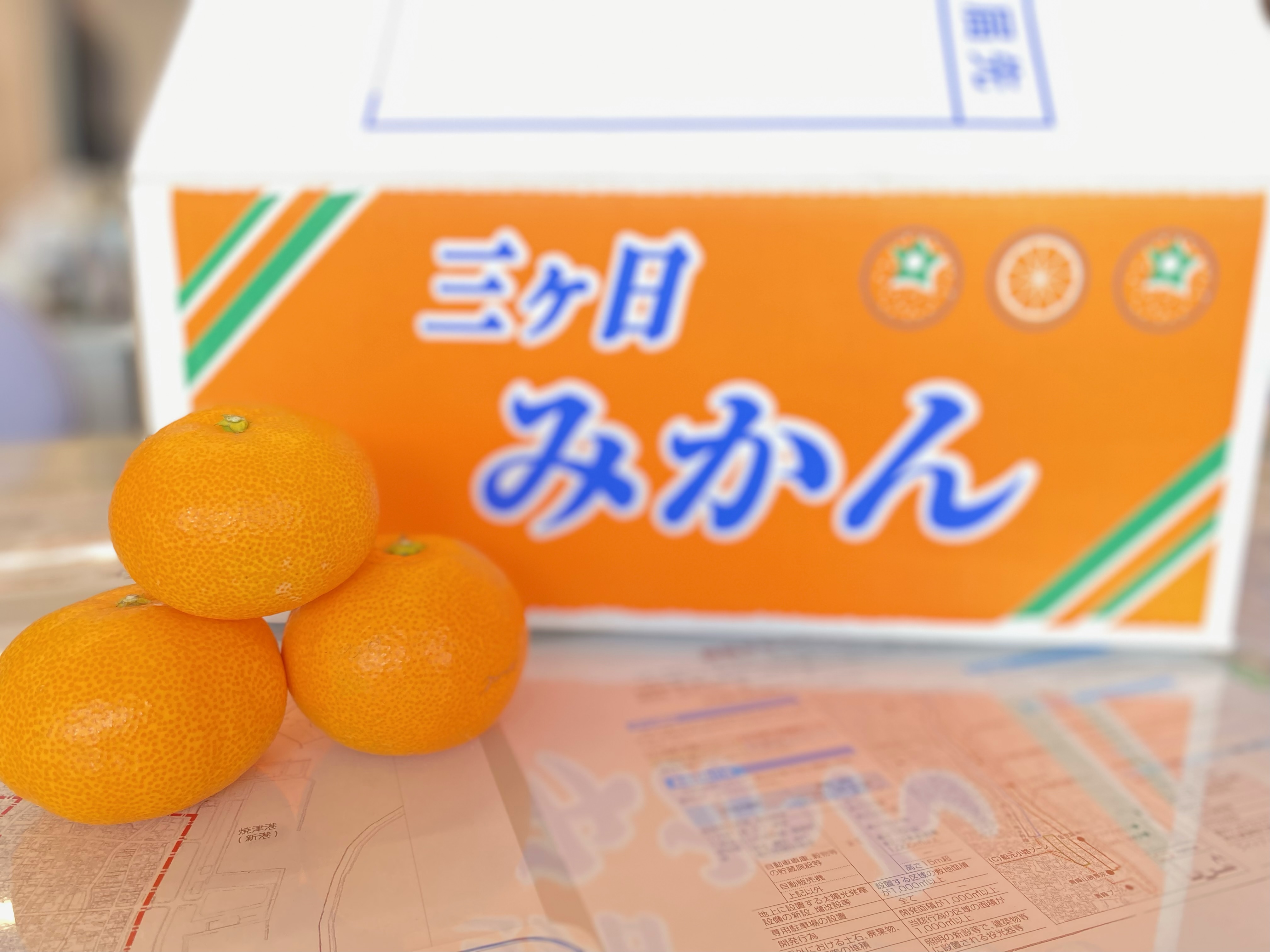 みかん🍊